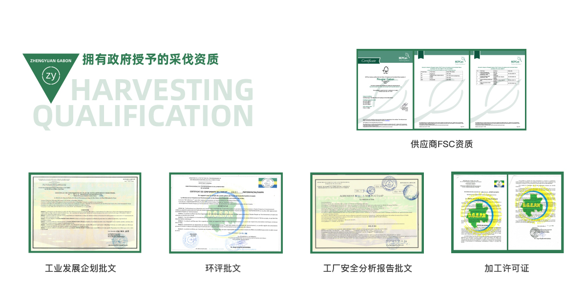 虎斑楝/非洲核桃木